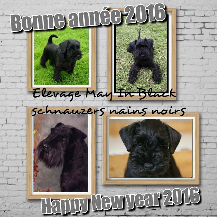 BonneAnnee_2016